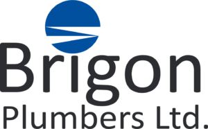 Brigon Logo 300x186